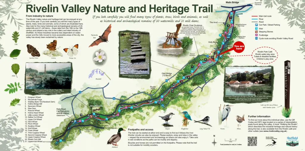 trail-rails road