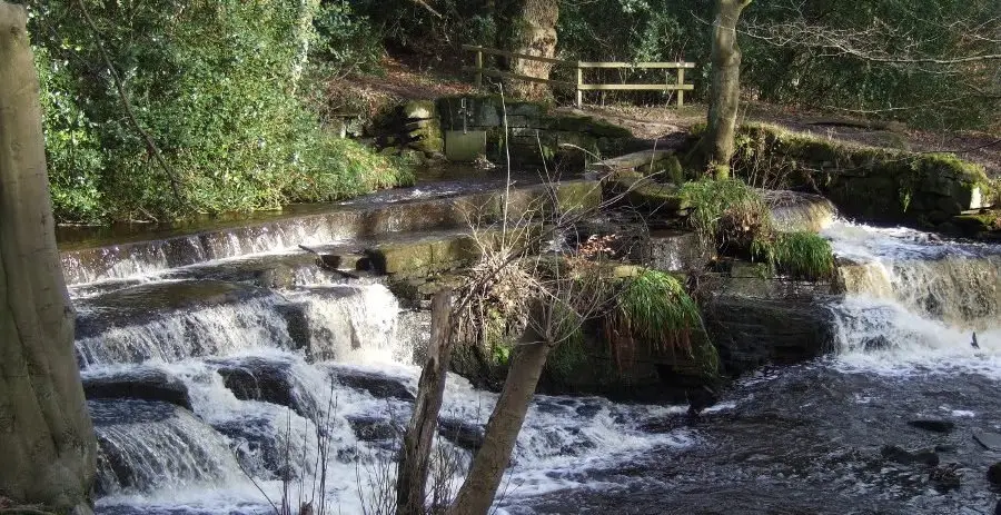 thirdcop_what_01 The Third Coppice weir uses a natural waterfall raised by a single course of stone blocks stapled together. Photo: Roger Kite, February 2011