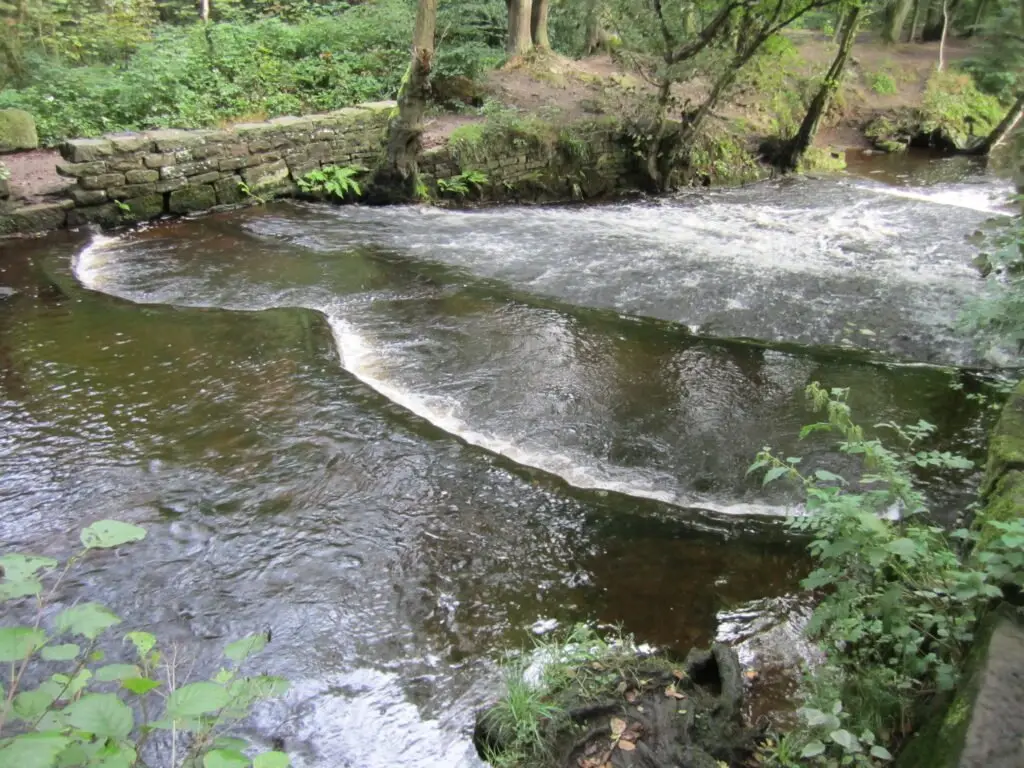 Roscoe weir-2