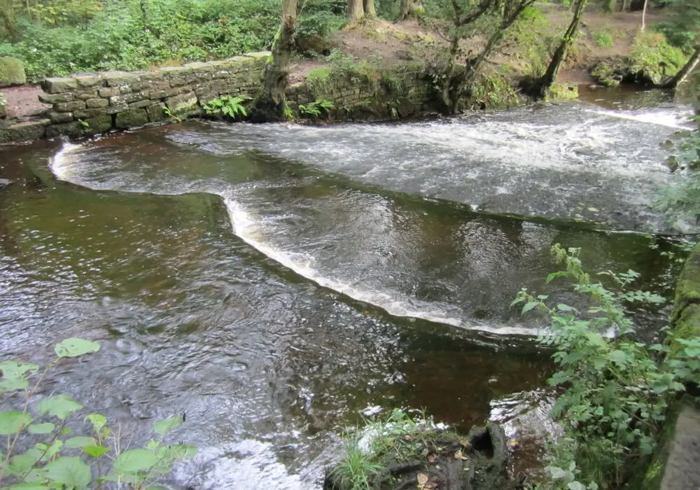 The unusual Roscoe weir, with its double-arc top kerb and long slope. [Photo: Sue Shaw, September 2013]