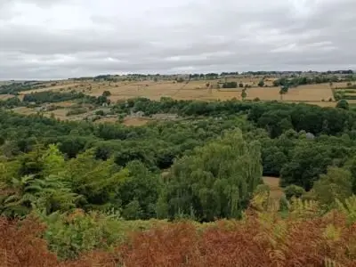Image for the Tweet beginning: Looking up the Rivelin valley