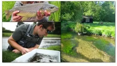 Examples of Fish, Wildlife and conservation at Haddon Estate. Supplied by Jan Hobot