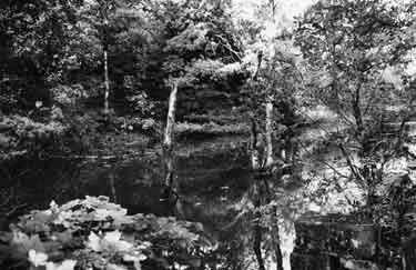 Plonk mill dam_Oct 1976_PSs36361 A photograph of Plonk Wheel mill dam in 1976 shows that it was much more open at that time.
Sheffield City Council, Libraries Archives and Information: www.picturesheffield.com Image s36361.