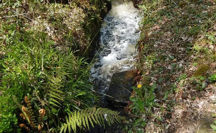 seccop_what_01 The overflow from Second Coppice mill dam. Photo: Sue Shaw, May 2016.