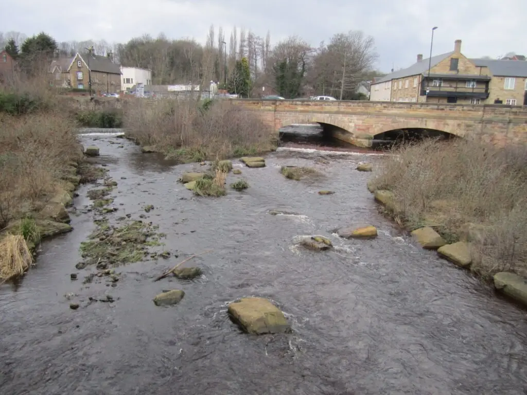 Rivelin-Loxley confluence_01-03-2015 (1)