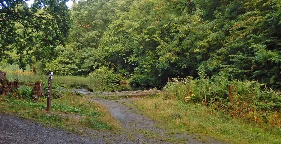 Nethercut site_19-08-16_cropped The site of Nether Cut Wheel, with mill dam behind. Photo: Sue Shaw, August 2016