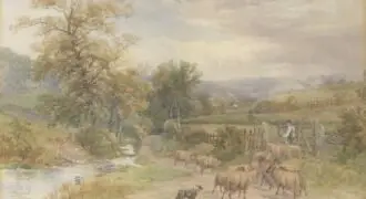 Sheep and the upper Rivelin by Charles Pigott