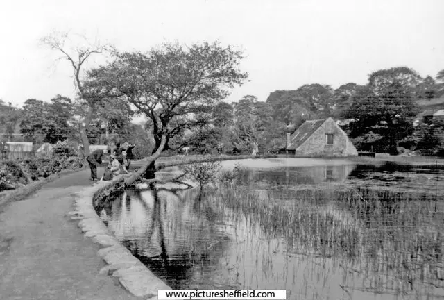 holme_03 Holme Head Wheel and mill dam in about 1931. Greenhouses can be seen to the left, on the opposite bank of the river, in an area that was once used as a market garden. Sheffield City Council, Libraries Archives and Information: www.picturesheffield.com Image y00553.