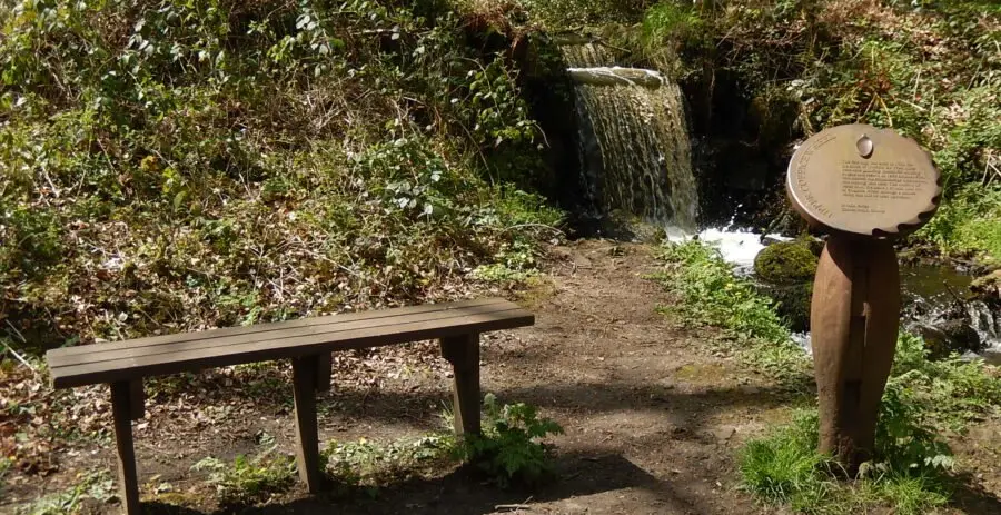 UCopp WP_16-05-05_13_39(1) Site of Upper Coppice Wheel, where water cascades from the mill dam into the former wheel pit.
Photo: Sue Shaw, May 2016.