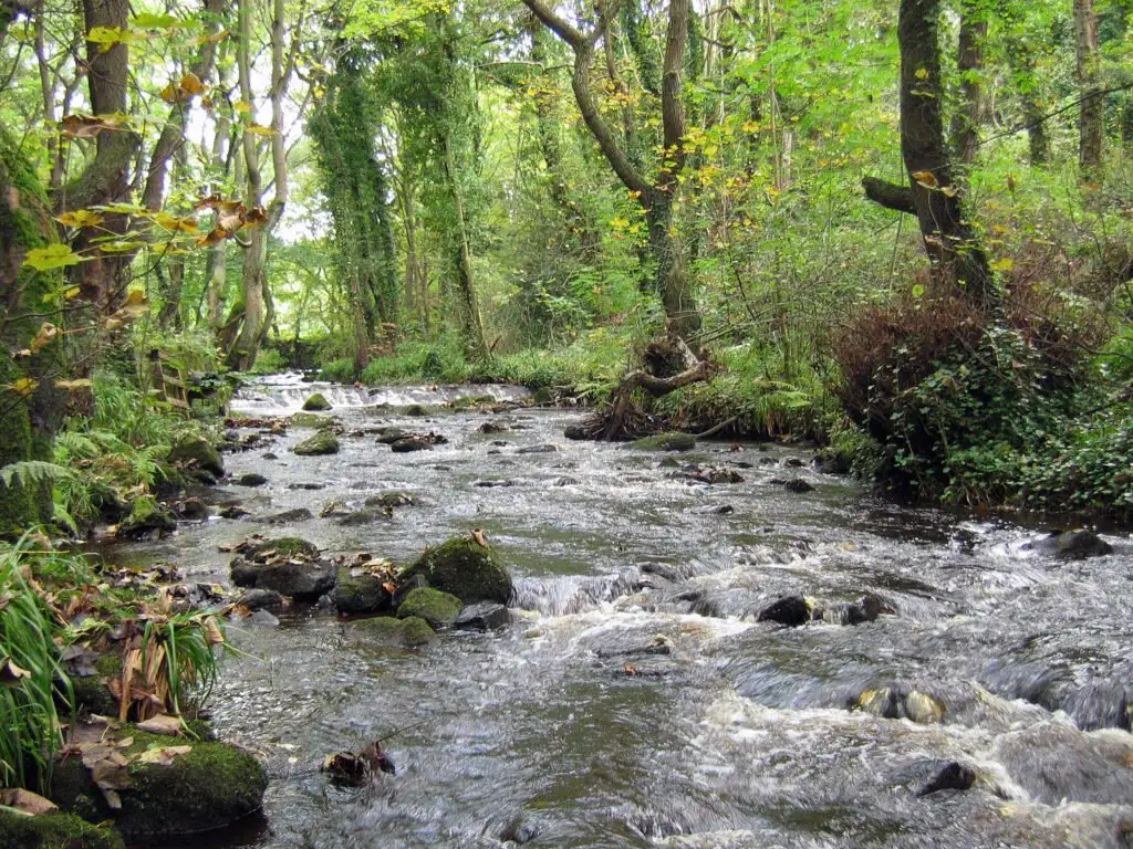 Rivelin_October_1_SCS