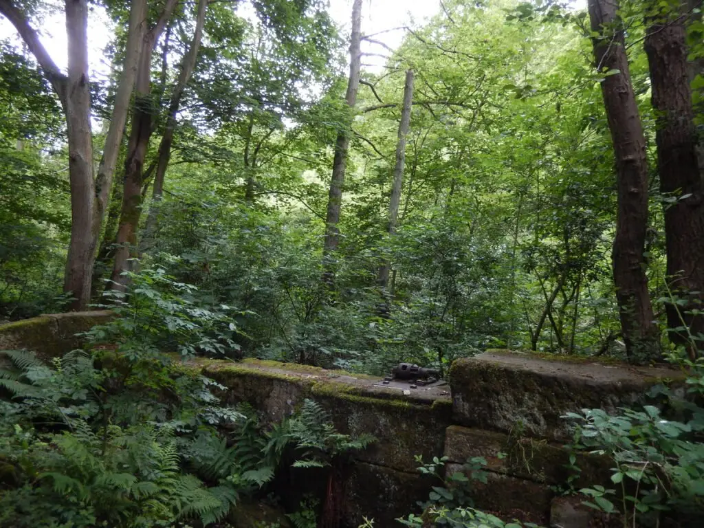 Roscoe overflow+trees_15-06-23_07_59