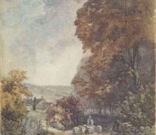 Rivelin sheep by Ben Baines
