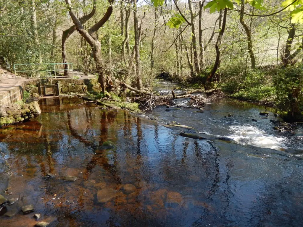 Swallow weir_15-04-21_15-42+E