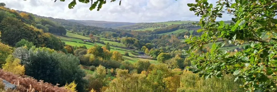 View of Rivelin Valley from Carver Fields -  August 2024. Photo by Mark Bateman