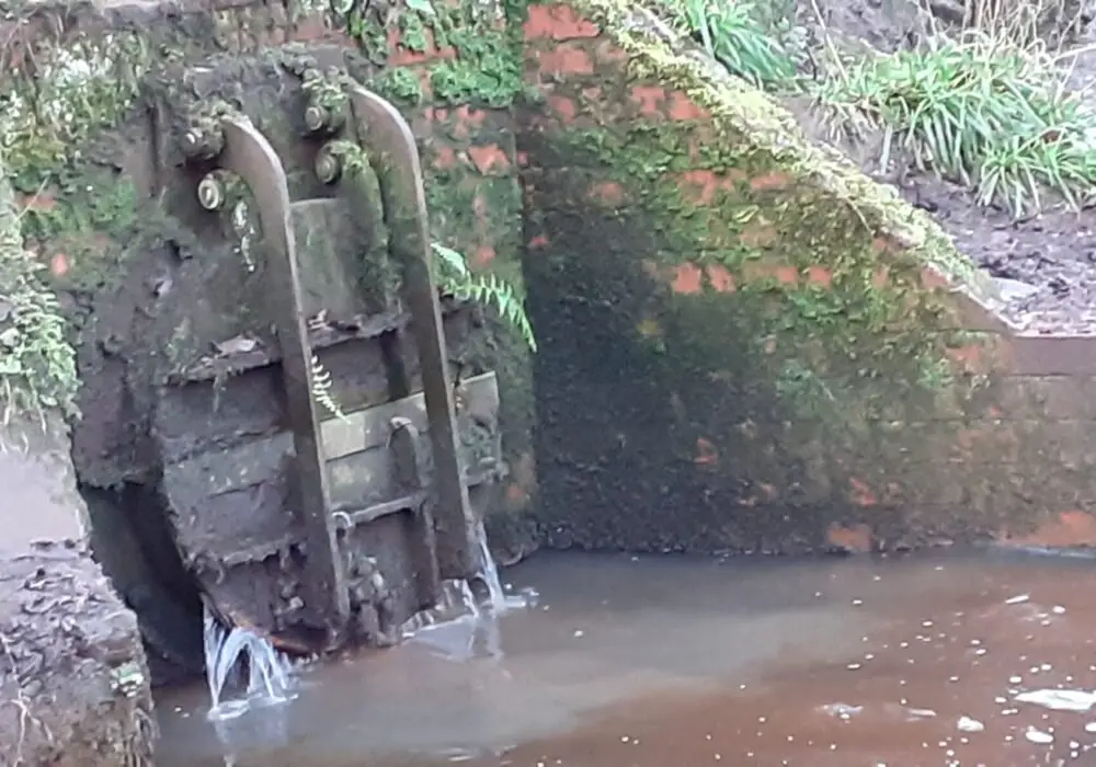 HH storm overflow_20201227 The Combined Sewer Overflow (CSO) from Crosspool, just above Holme Head weir. Photo: Sue Shaw 2020.