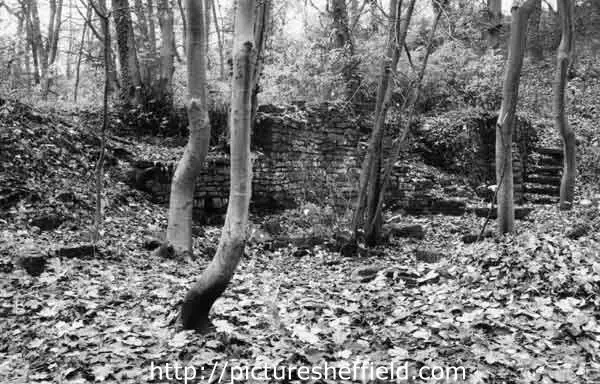 2Copp remains 1976_PSs36362 Wheel pit area of Second Coppice Wheel, in November 1976. Sheffield City Council, Libraries Archives
and Information: www.picturesheffield.com Image s36362.