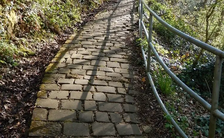 A steep cobbled path runs from near Wolf Wheel up the cliff to Rivelin Valley Road. Photo: Sue Shaw, May 2015.