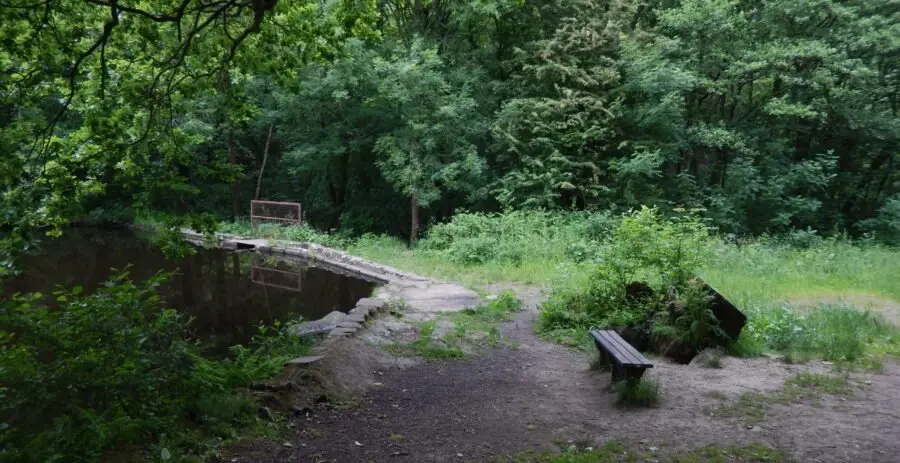 The site of Nether Cut Wheel. Photo: Sue Shaw, June 2015