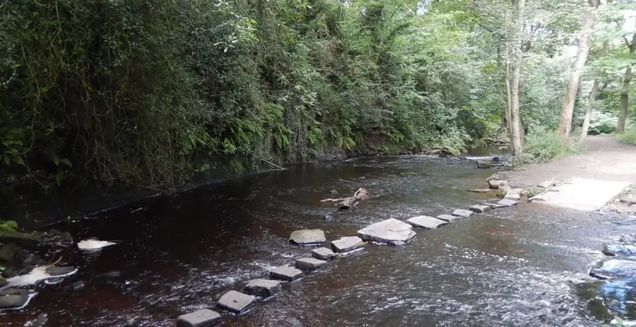 WBT st stones&cliff_16-07-14_15_30 The stepping stones across the river just below Havelock Dam provide an alternative route between Walkley Bank Tilt and the Holly Bush (Hollins Lane) and Rivelin Park café. Photo: Sue Shaw, March 2015.