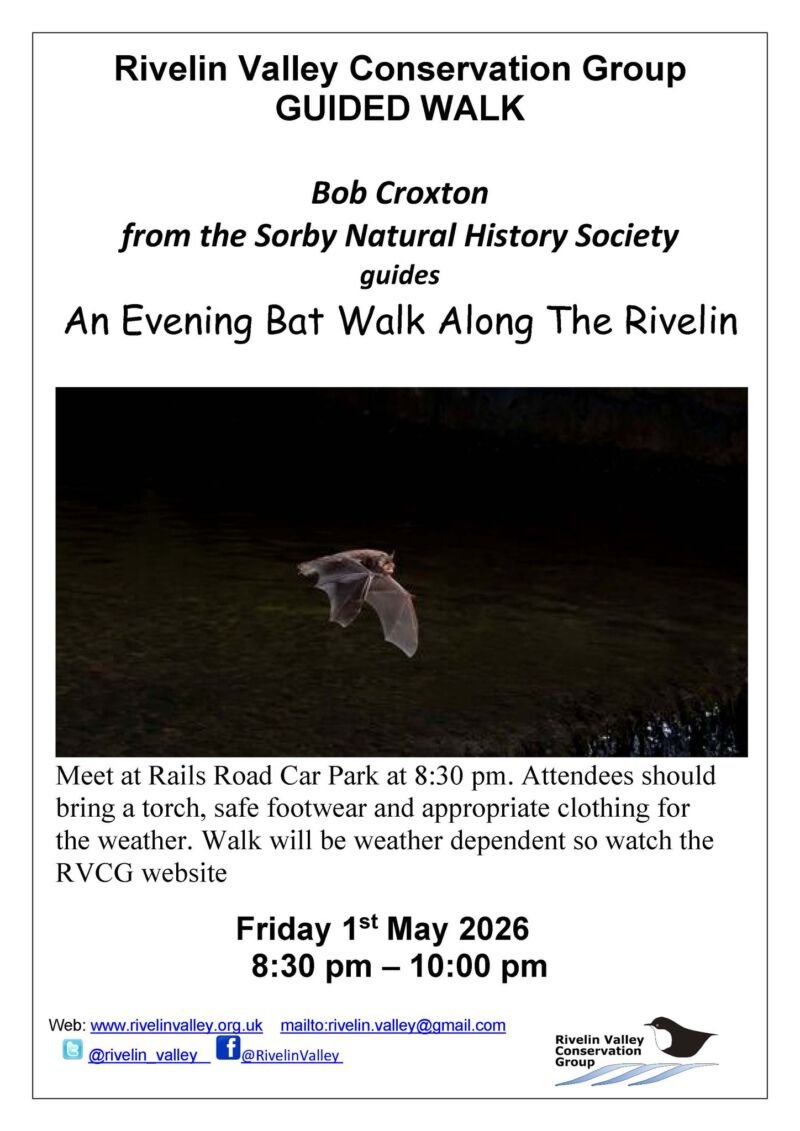 Image for the Tweet beginning: Join us for a Bat