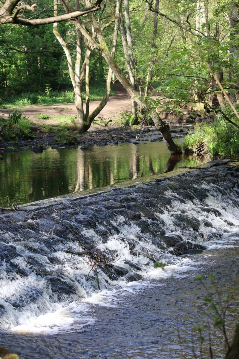 Image for the Tweet beginning: Rivelin looking great in the